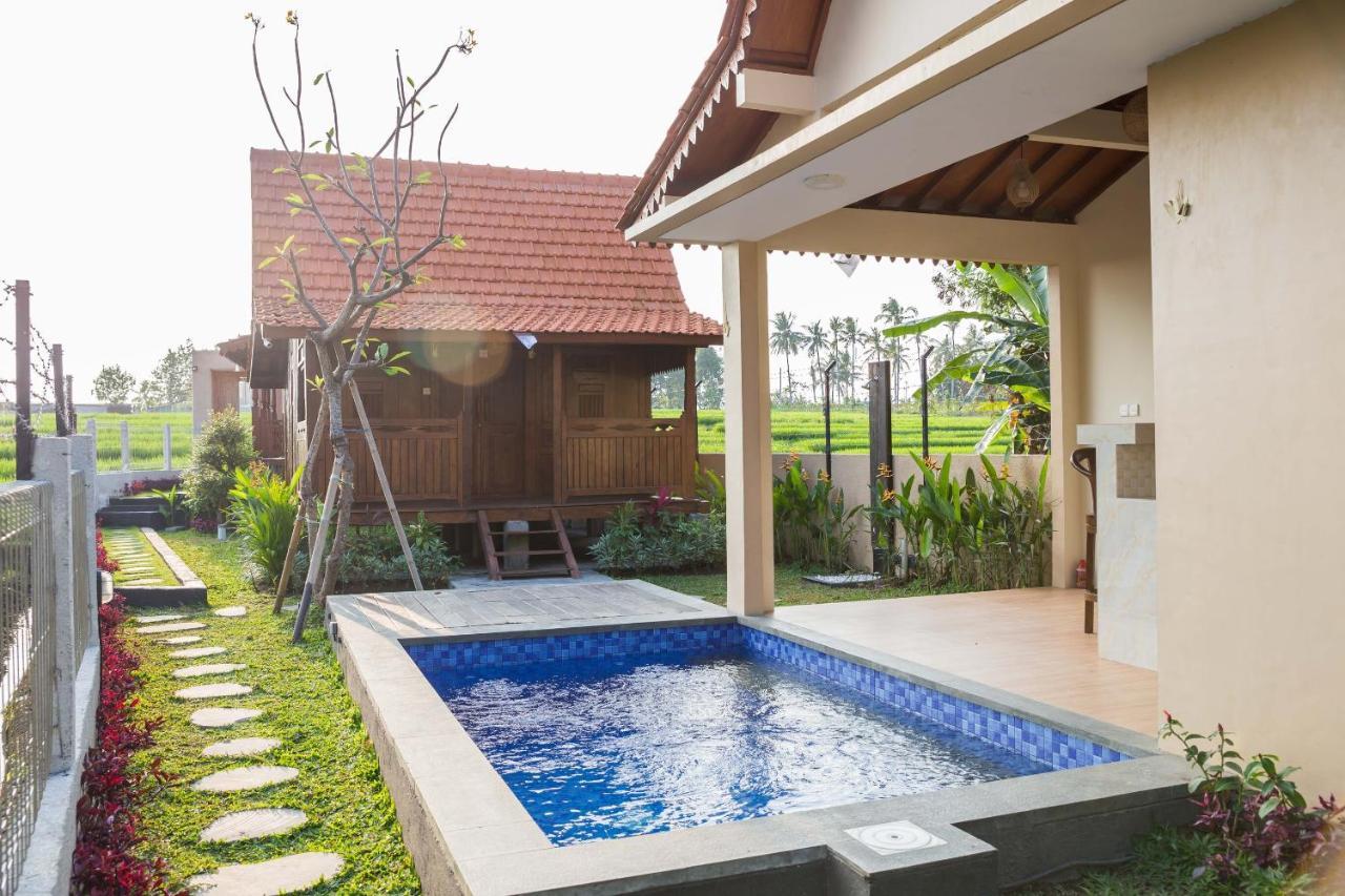 Victory Munggu Hotel Canggu Екстериор снимка