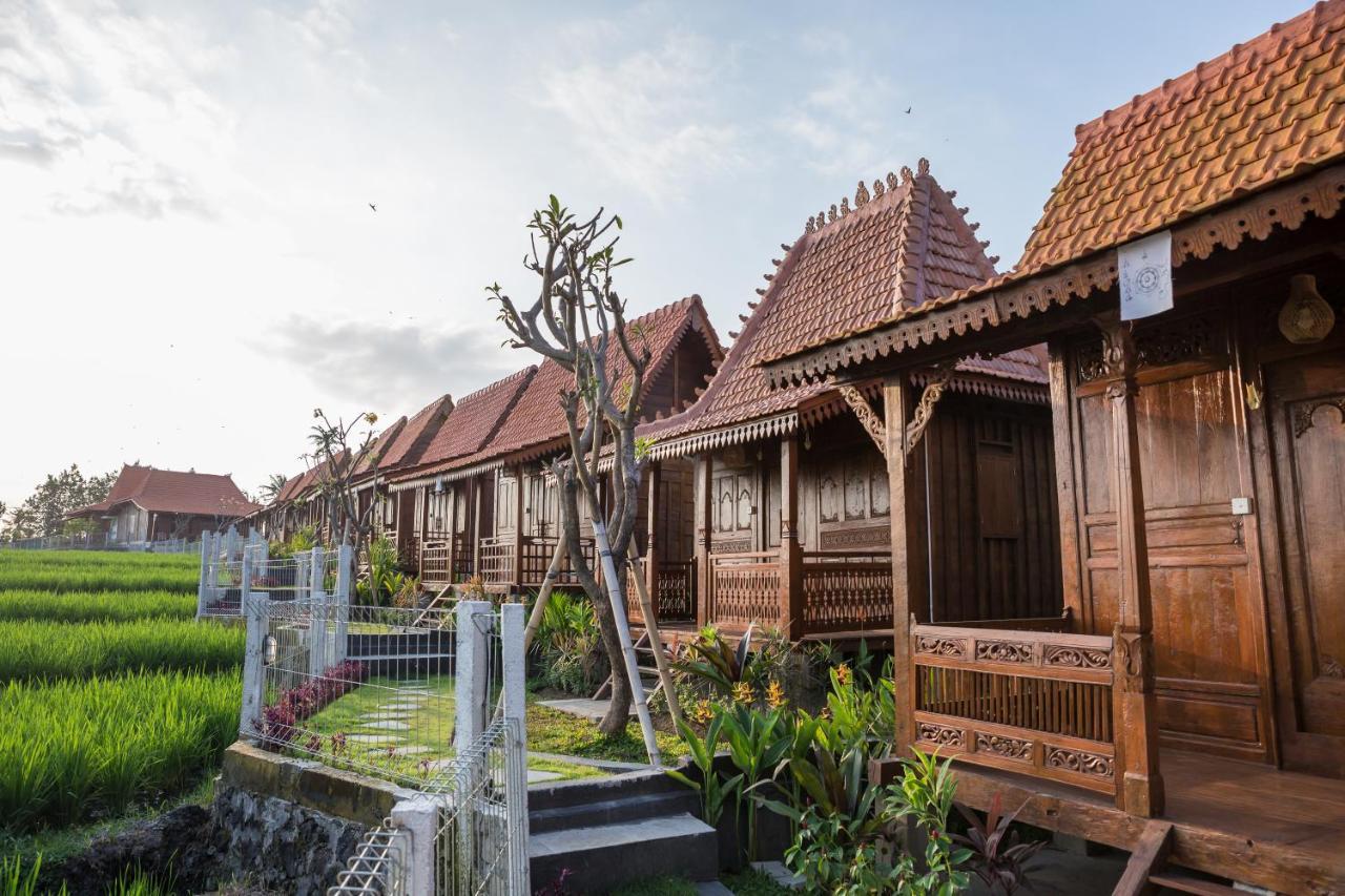 Victory Munggu Hotel Canggu Екстериор снимка